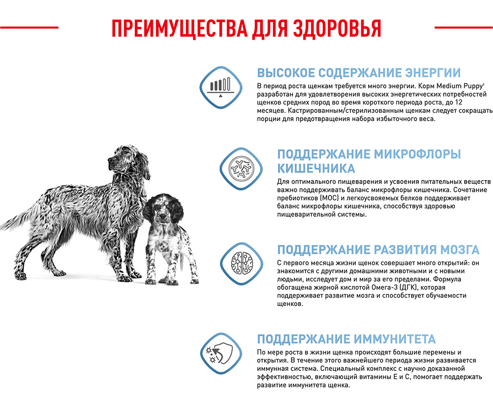 Корм Royal Canin корм сухой для щенков средних размеров до 12 месяцев, роял  канин для щенков, royal canin для щенков, royal canin puppy, роял канин  паппи, роял для щенков, канин для щенков,