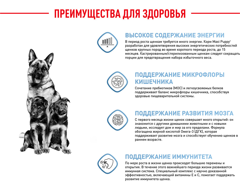 Royal Canin корм сухой для щенков пород крупных размеров (вес 26 - 44 кг)  до 15 месяцев, роял канин для щенков, royal canin для щенков, royal canin  puppy, роял канин паппи, роял