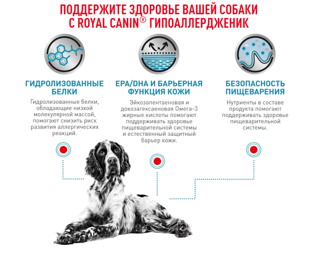 Royal Canin (вет.корма) для собак гипоаллергенный, hipoallergenic,  гипоалер, Hypoallergenic DR21, Пробаланс, Сухой гипоаллергенный корм для  собак, при аллергии, корм для собак с чувствительным пищеварением,  ветеринарный корм, гипоаллергенный, лечебные ...