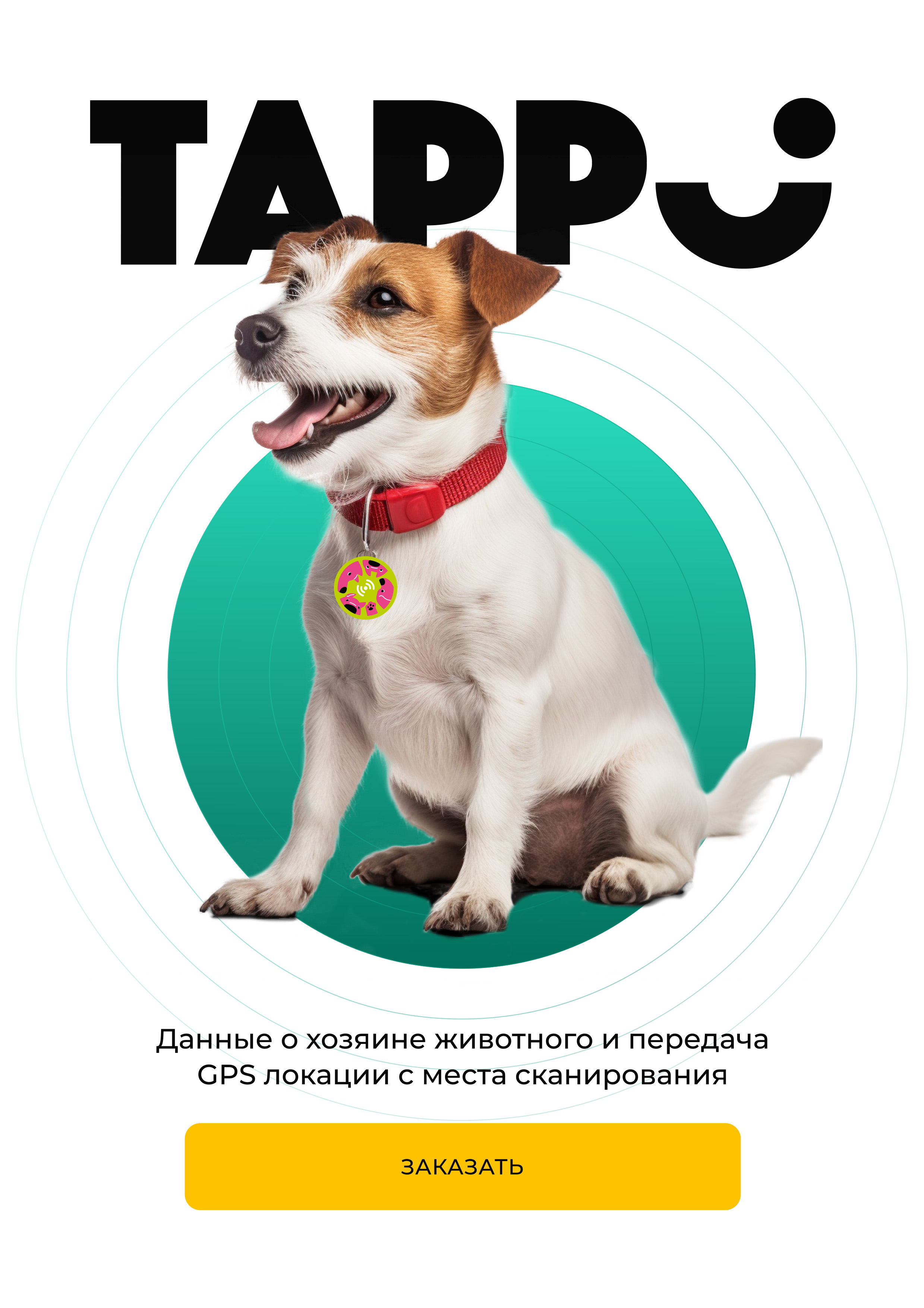 Tappi амуниция цифровой адресник для животных, салатовый | Petshop.ru